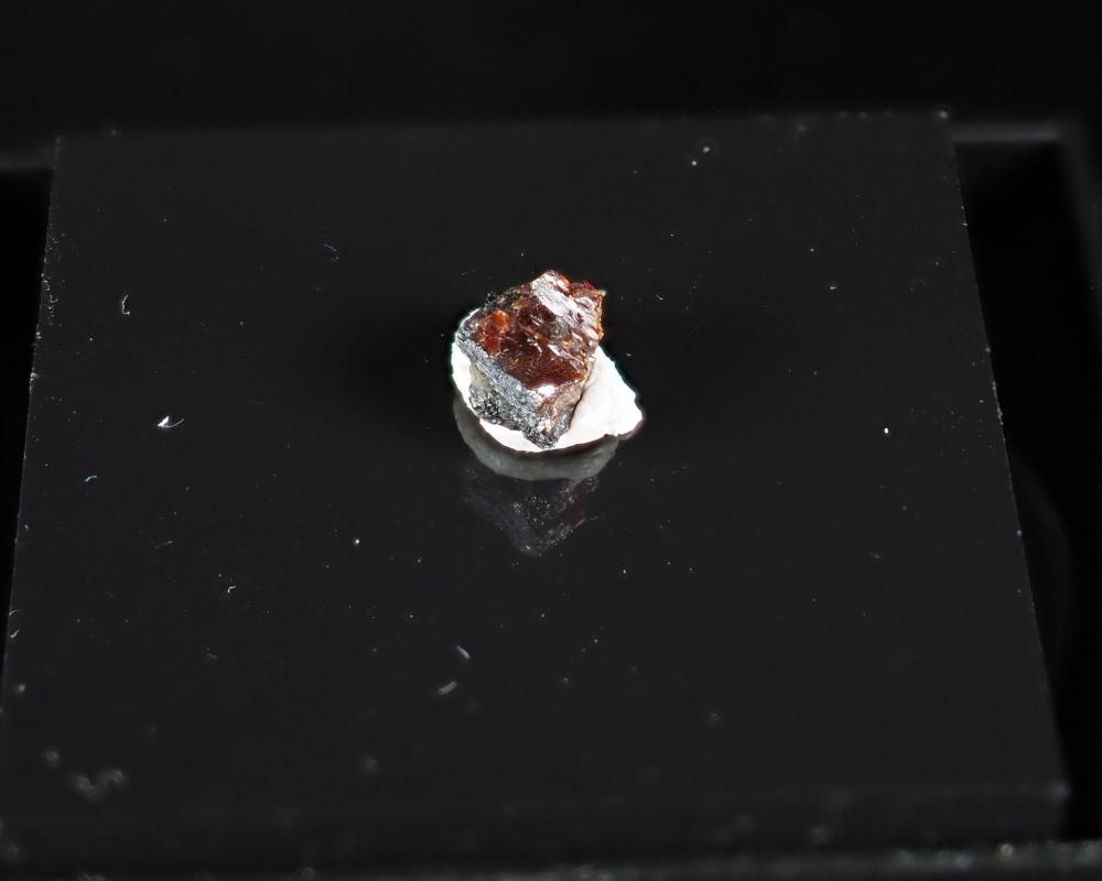 Tantalowodginite